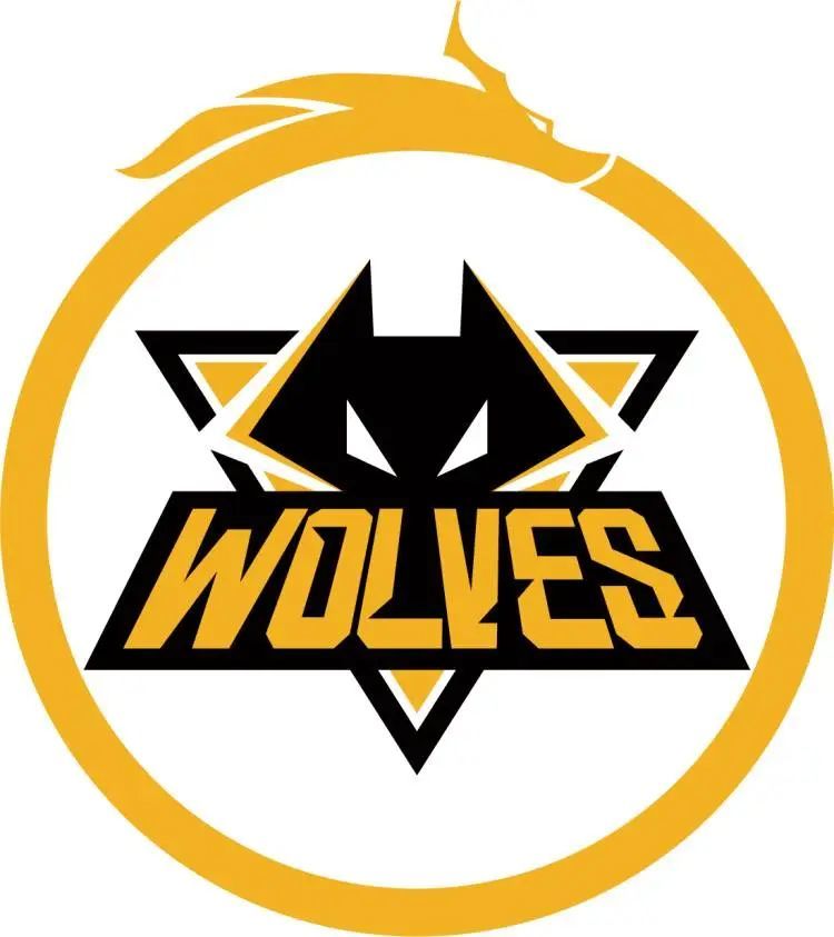 LOL官方展示GAM在越南赛区的荣誉：19夏至今收获8个联赛冠军